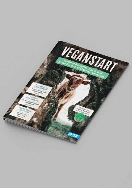 Veganstart Broschüre