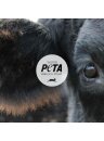 Wofür PETA wirklich steht