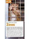 Die Wahrheit über Tiere in Zoos 30er Set