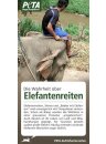 Die Wahrheit über Elefantenreiten 30er Set