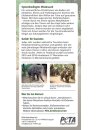Die Wahrheit über Elefantenreiten 30er Set
