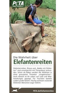 Die Wahrheit über Elefantenreiten 100er Set