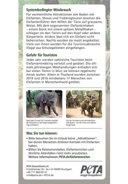 Die Wahrheit über Elefantenreiten 100er Set