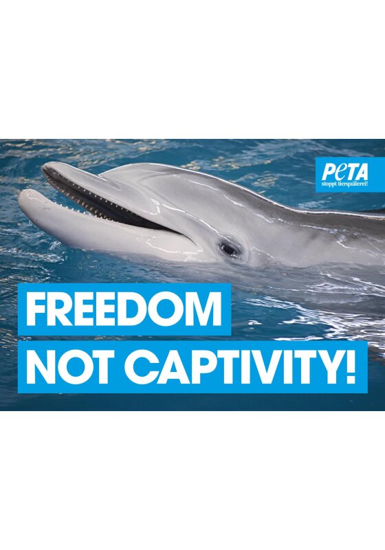 Freedom, not Captivity - Delfinarium Poster gerollt