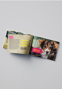 PETAKids-Broschüre: Wir sind alle Tiere einzeln