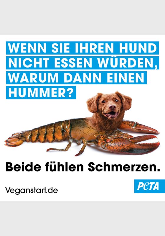 Nicht essen (Hund/Hummer) Sticker