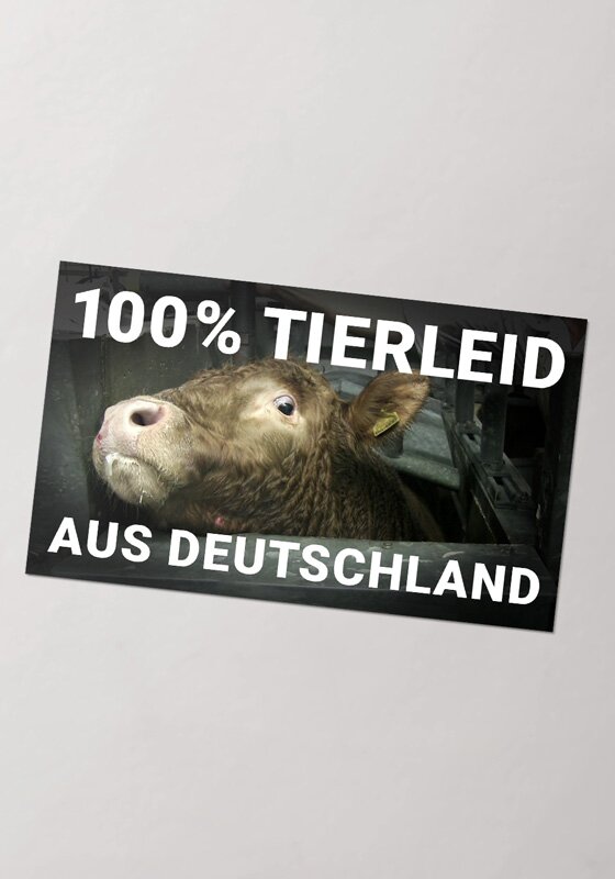 100% Tierleid aus Deutschland - Sticker